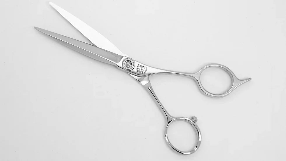 CONTROLLO SCORREVOLE EV SHEAR