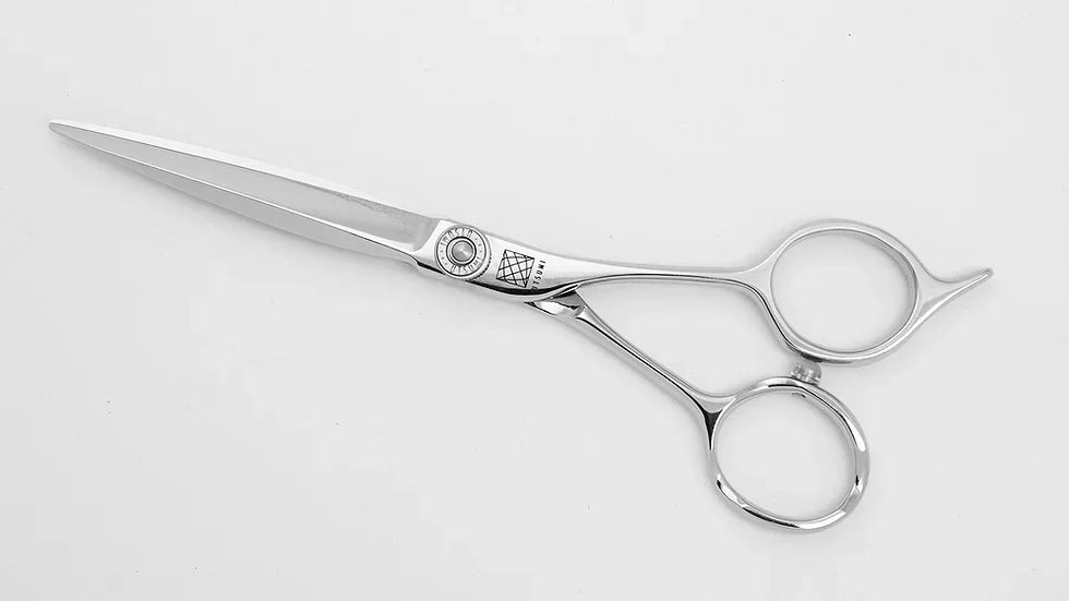 CONTROLLO SCORREVOLE EV SHEAR